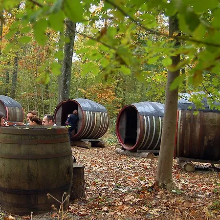 Domaine De Ronchinne - Chateau Et Ecuries Maillen