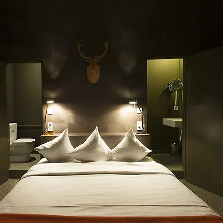 Domaine De Ronchinne - Chateau Et Ecuries Maillen