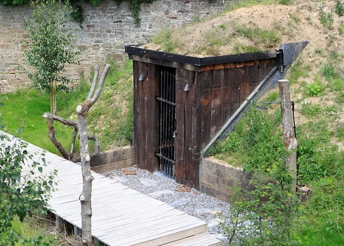 Domaine De Ronchinne - Chateau Et Ecuries Hotel Maillen