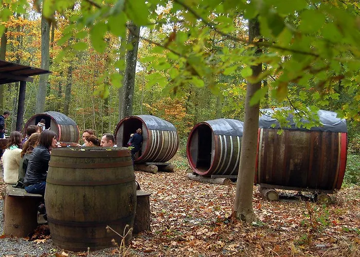 Domaine De Ronchinne - Chateau Et Ecuries Maillen