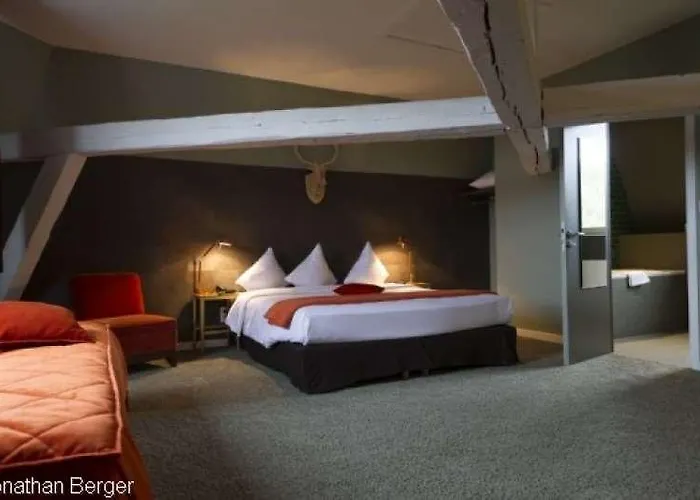 Hotel Domaine De Ronchinne - Chateau Et Ecuries 3*