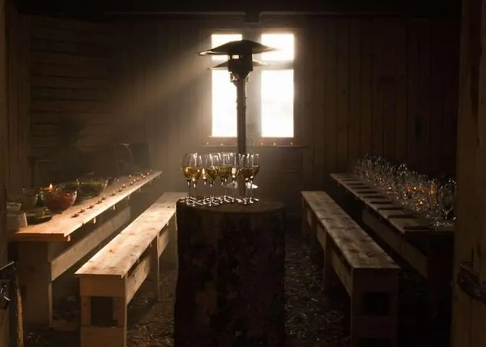 Domaine De Ronchinne - Chateau Et Ecuries Maillen