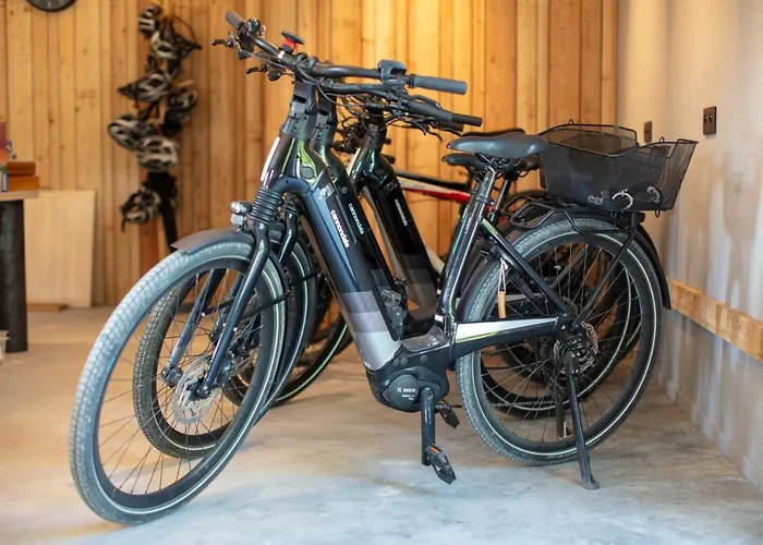 Domaine De Ronchinne - Chateau Et Ecuries 3*