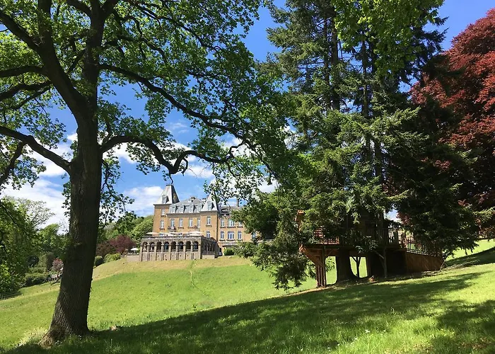 Domaine De Ronchinne - Chateau Et Ecuries Maillen