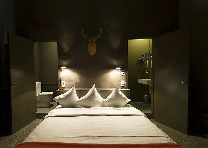 Domaine De Ronchinne - Chateau Et Ecuries Maillen