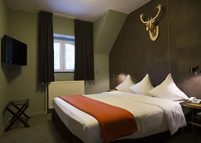 Domaine De Ronchinne - Chateau Et Ecuries Hotel