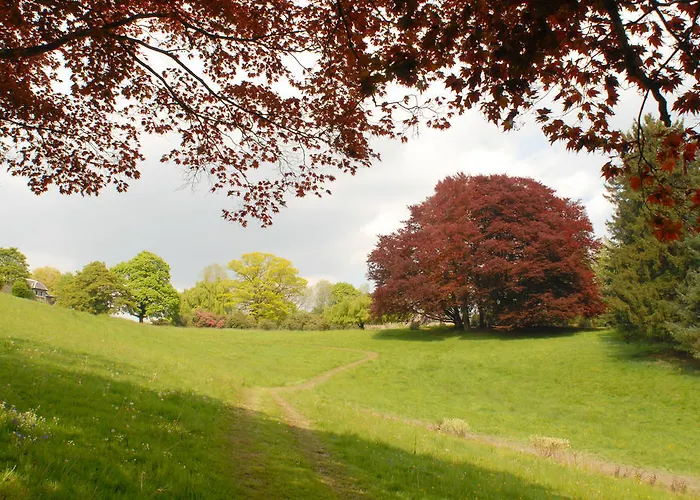 Hotel Domaine De Ronchinne - Chateau Et Ecuries Maillen