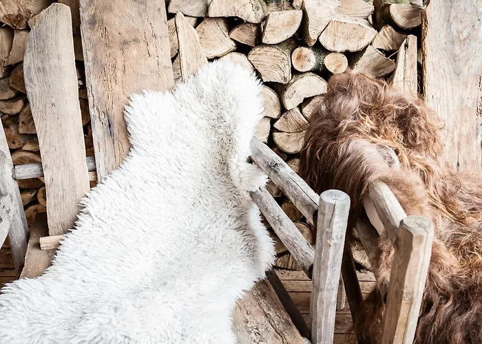 Domaine De Ronchinne - Chateau Et Ecuries 3* Maillen